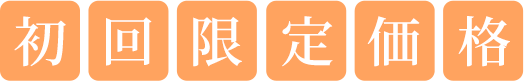 初回限定価格